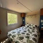 La Tuque * Belaye